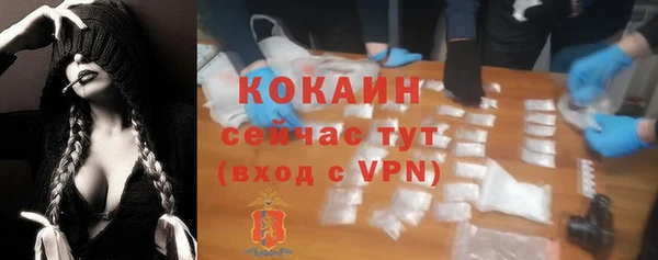 дживик Алзамай