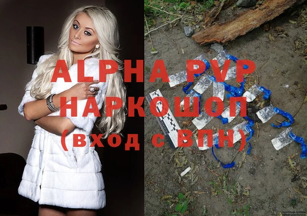 стаф Алексин