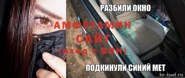 стаф Алексин