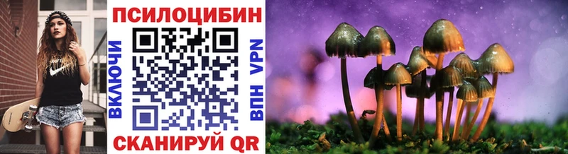 Галлюциногенные грибы Psilocybe  Миасс 
