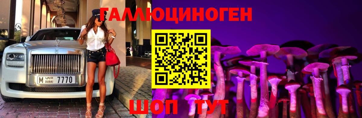 Галлюциногенные грибы Psilocybine cubensis Миасс