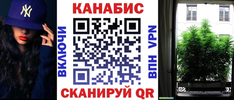 Бошки марихуана план  Миасс 